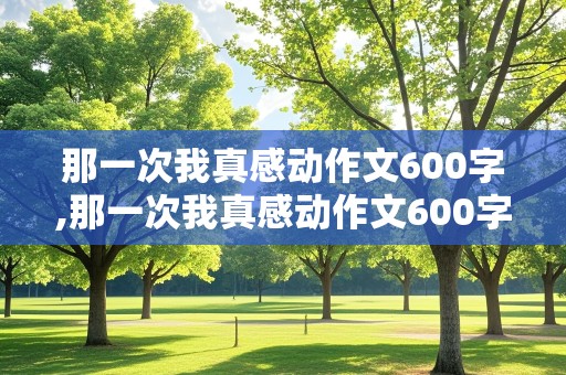 那一次我真感动作文600字,那一次我真感动作文600字初中