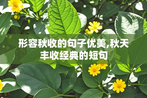 形容秋收的句子优美,秋天丰收经典的短句