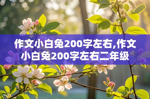 作文小白兔200字左右,作文小白兔200字左右二年级