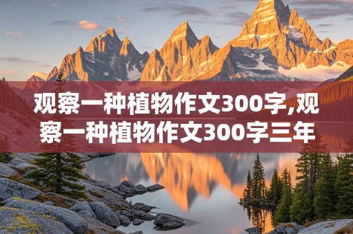 观察一种植物作文300字,观察一种植物作文300字三年级