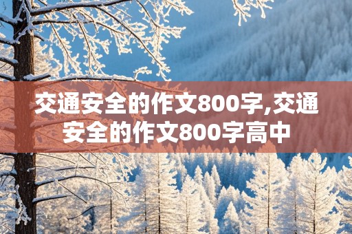 交通安全的作文800字,交通安全的作文800字高中