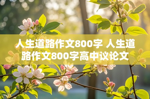 人生道路作文800字 人生道路作文800字高中议论文