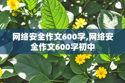 网络安全作文600字,网络安全作文600字初中