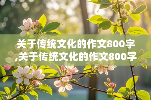 关于传统文化的作文800字,关于传统文化的作文800字高中议论文