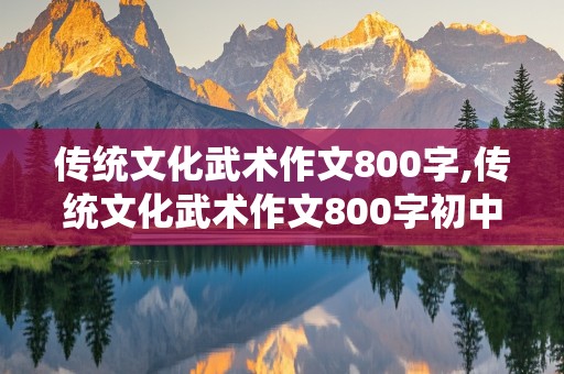 传统文化武术作文800字,传统文化武术作文800字初中记叙文