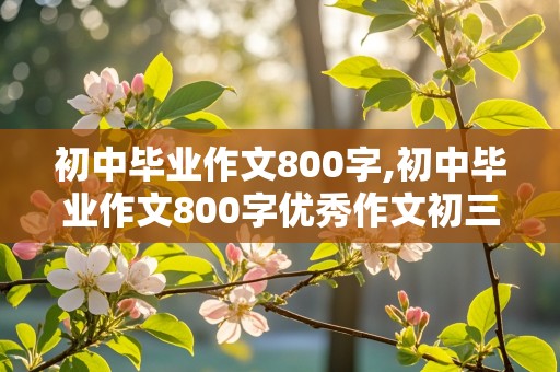 初中毕业作文800字,初中毕业作文800字优秀作文初三