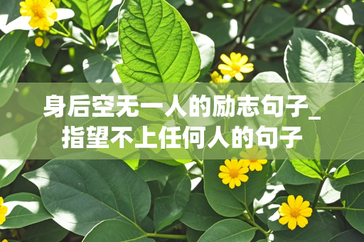 身后空无一人的励志句子_指望不上任何人的句子