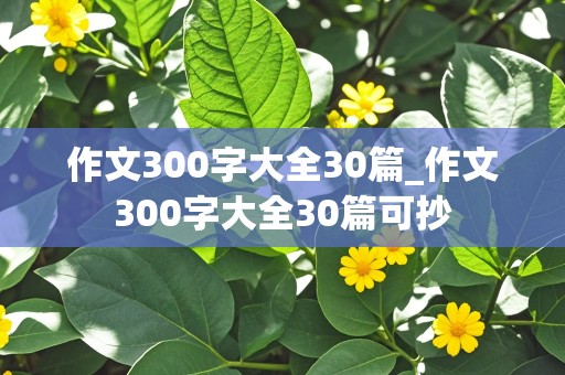 作文300字大全30篇_作文300字大全30篇可抄