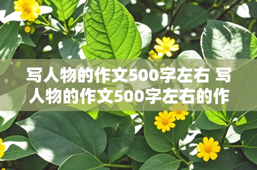 写人物的作文500字左右 写人物的作文500字左右的作文