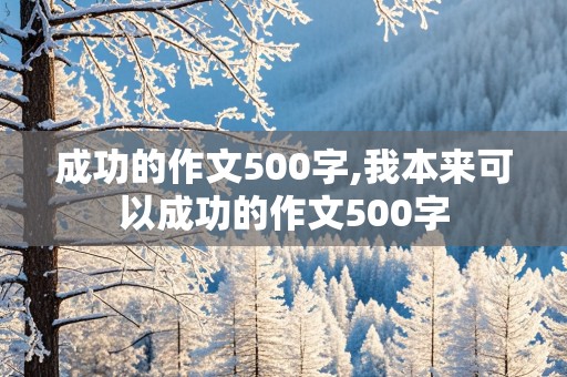 成功的作文500字,我本来可以成功的作文500字