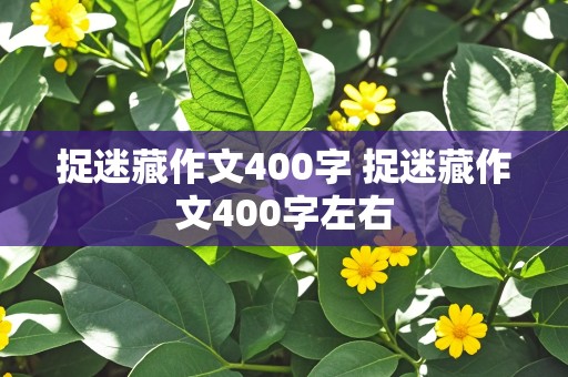 捉迷藏作文400字 捉迷藏作文400字左右