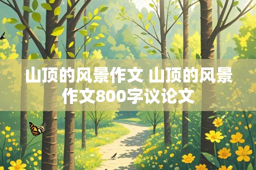 山顶的风景作文 山顶的风景作文800字议论文