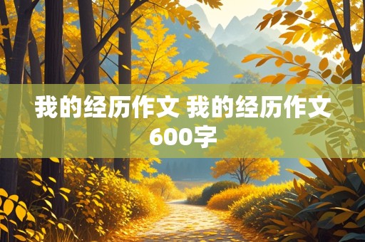 我的经历作文 我的经历作文600字