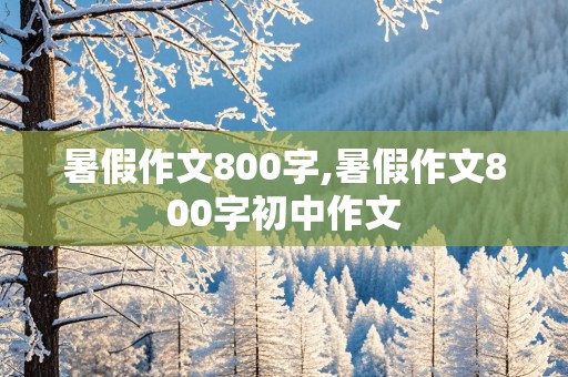 暑假作文800字,暑假作文800字初中作文