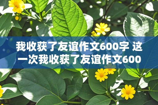 我收获了友谊作文600字 这一次我收获了友谊作文600字