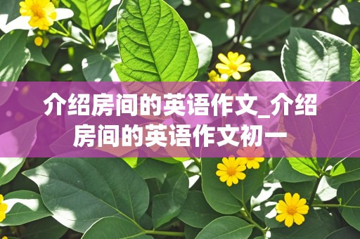 介绍房间的英语作文_介绍房间的英语作文初一