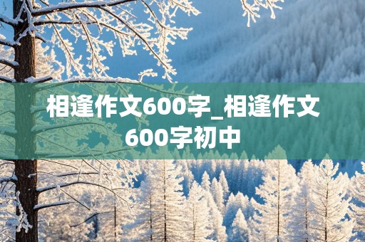 相逢作文600字_相逢作文600字初中