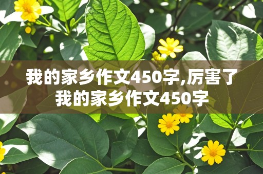 我的家乡作文450字,厉害了我的家乡作文450字