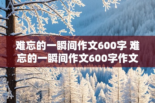 难忘的一瞬间作文600字 难忘的一瞬间作文600字作文