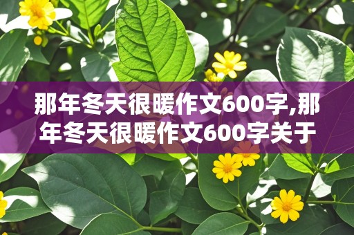 那年冬天很暖作文600字,那年冬天很暖作文600字关于疫情