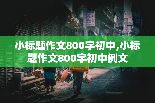 小标题作文800字初中,小标题作文800字初中例文