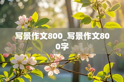 写景作文800_写景作文800字