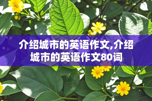 介绍城市的英语作文,介绍城市的英语作文80词