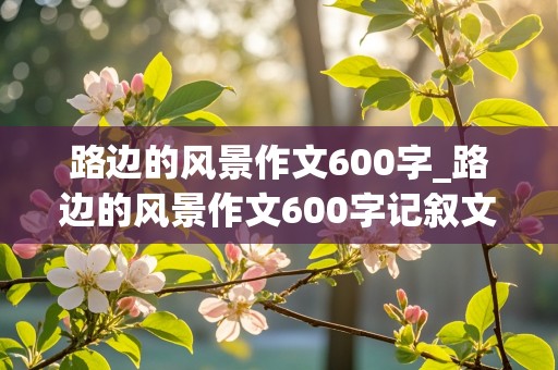 路边的风景作文600字_路边的风景作文600字记叙文