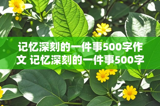 记忆深刻的一件事500字作文 记忆深刻的一件事500字作文初一