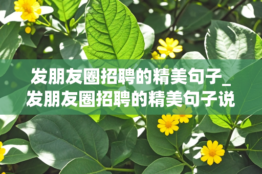 发朋友圈招聘的精美句子_发朋友圈招聘的精美句子说说