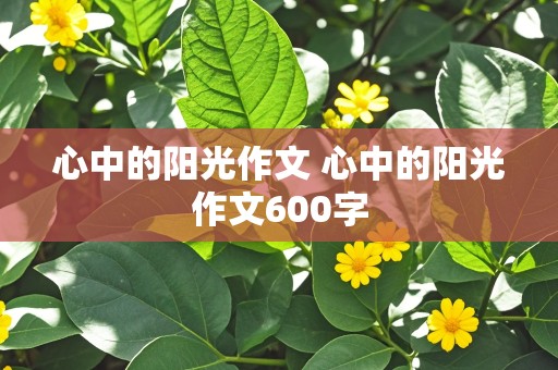 心中的阳光作文 心中的阳光作文600字