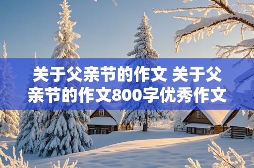 关于父亲节的作文 关于父亲节的作文800字优秀作文