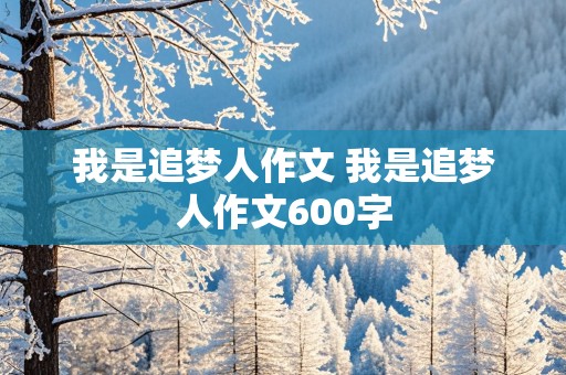 我是追梦人作文 我是追梦人作文600字