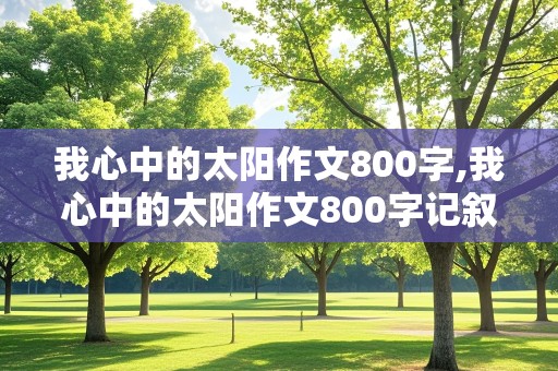 我心中的太阳作文800字,我心中的太阳作文800字记叙文