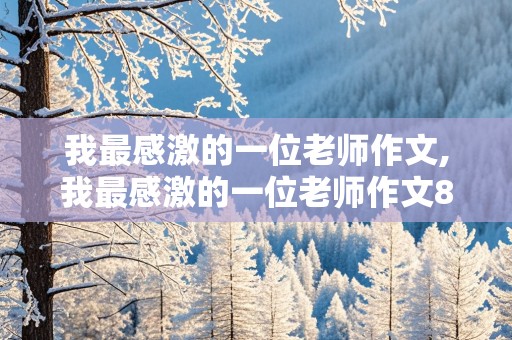 我最感激的一位老师作文,我最感激的一位老师作文800字