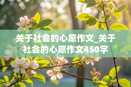 关于社会的心愿作文_关于社会的心愿作文450字