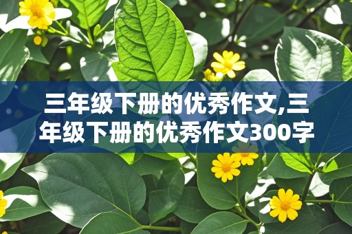 三年级下册的优秀作文,三年级下册的优秀作文300字