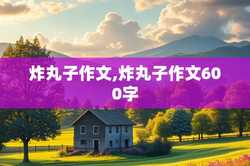 炸丸子作文,炸丸子作文600字