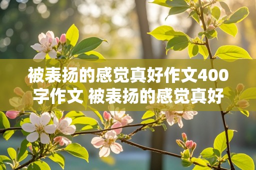 被表扬的感觉真好作文400字作文 被表扬的感觉真好作文400字作文三年级