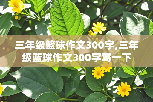 三年级篮球作文300字,三年级篮球作文300字写一下