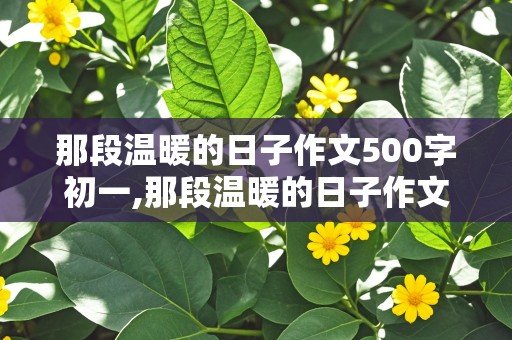 那段温暖的日子作文500字初一,那段温暖的日子作文500字初一上册