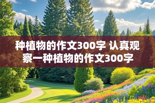 种植物的作文300字 认真观察一种植物的作文300字