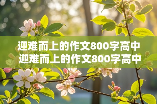 迎难而上的作文800字高中 迎难而上的作文800字高中议论文