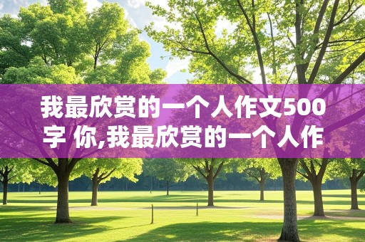 我最欣赏的一个人作文500字 你,我最欣赏的一个人作文500字