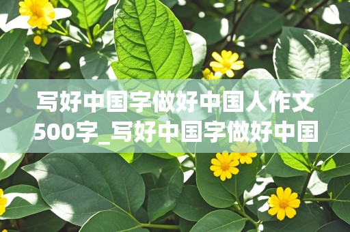 写好中国字做好中国人作文500字_写好中国字做好中国人作文500字左右