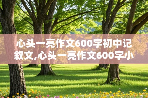 心头一亮作文600字初中记叙文,心头一亮作文600字小学