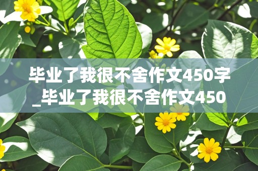 毕业了我很不舍作文450字_毕业了我很不舍作文450字六年级