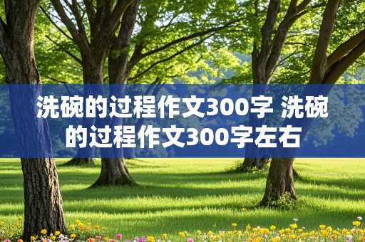 洗碗的过程作文300字 洗碗的过程作文300字左右