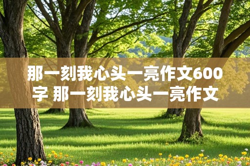 那一刻我心头一亮作文600字 那一刻我心头一亮作文600字记叙文