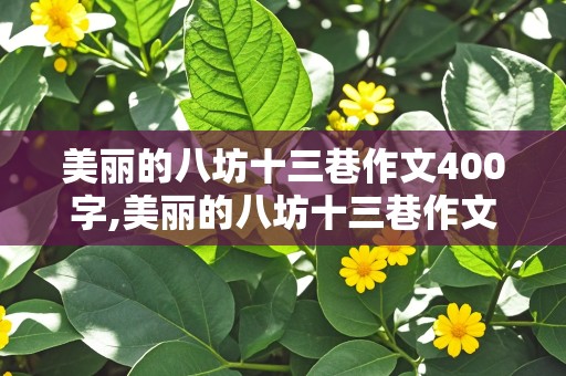 美丽的八坊十三巷作文400字,美丽的八坊十三巷作文400字怎么写